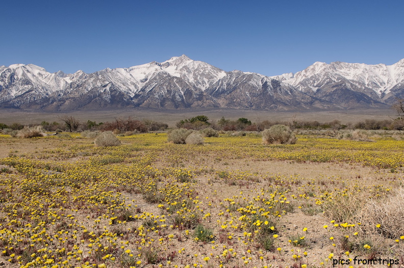 Manzanar internment camp2010d12c053.jpg